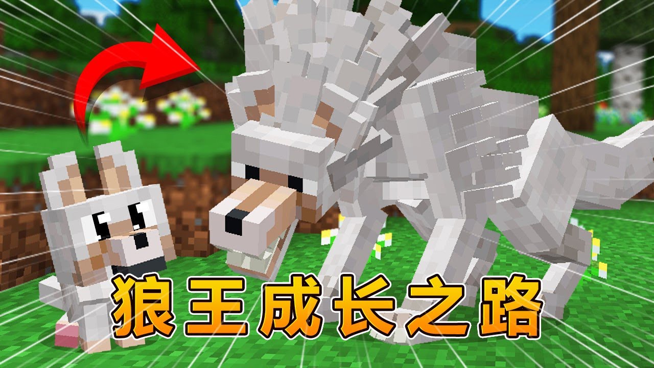 我的世界：从小奶狼到狼王的蜕变！ #我的世界 #minecraft #阿焱游戏解说