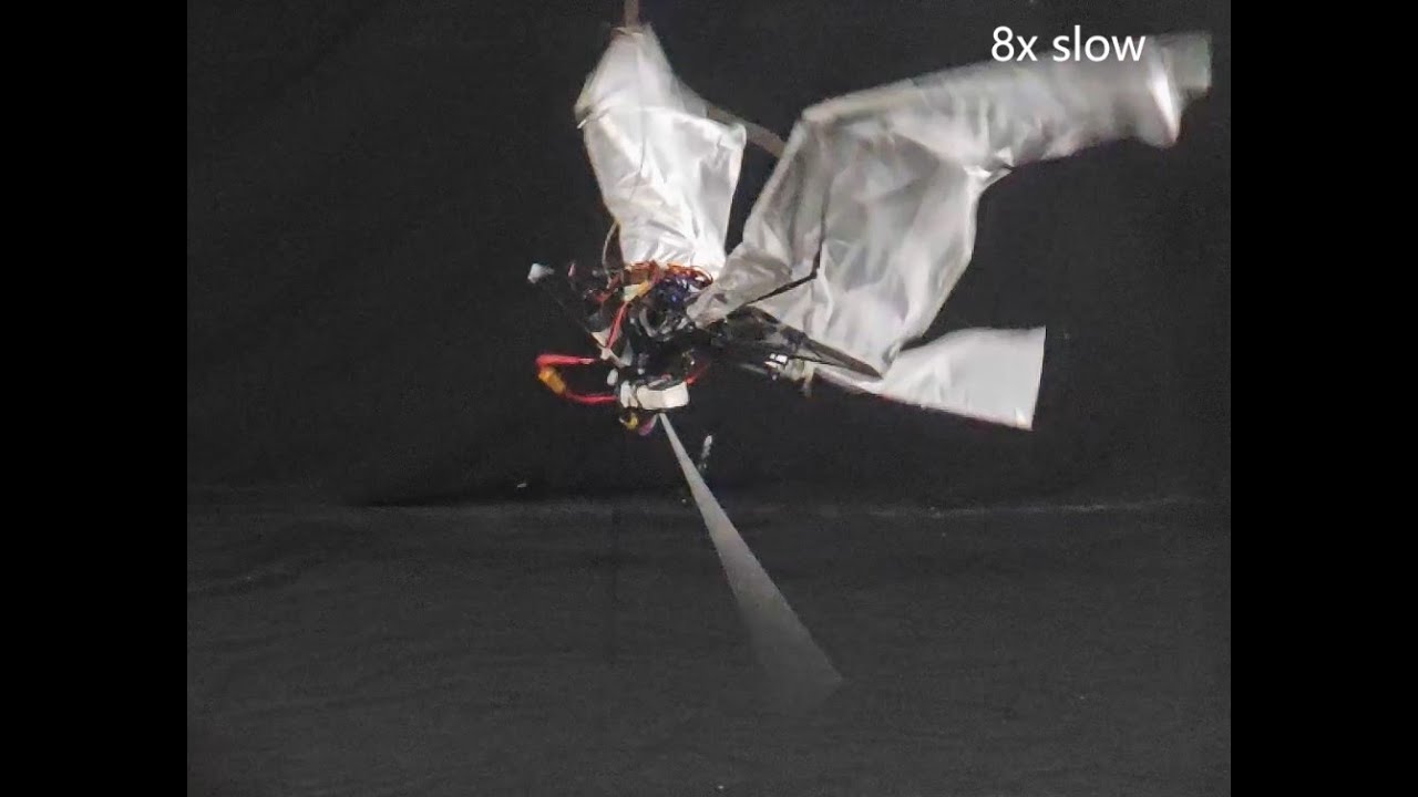 Flapping-wing Robot Design: Bird-style Takeoff