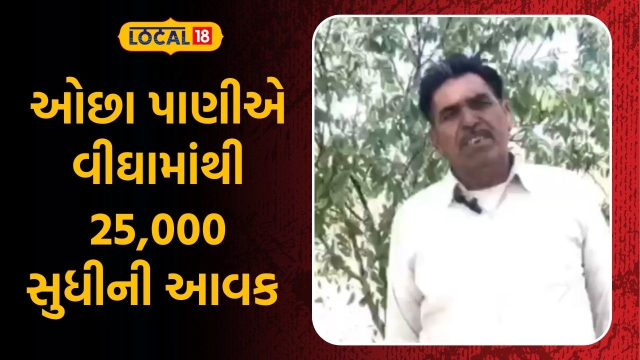 Patan Farmer News | ઓછા પાણીએ વીઘામાંથી 25,000 સુધીની આવક | Farming | Gujarat | Local18