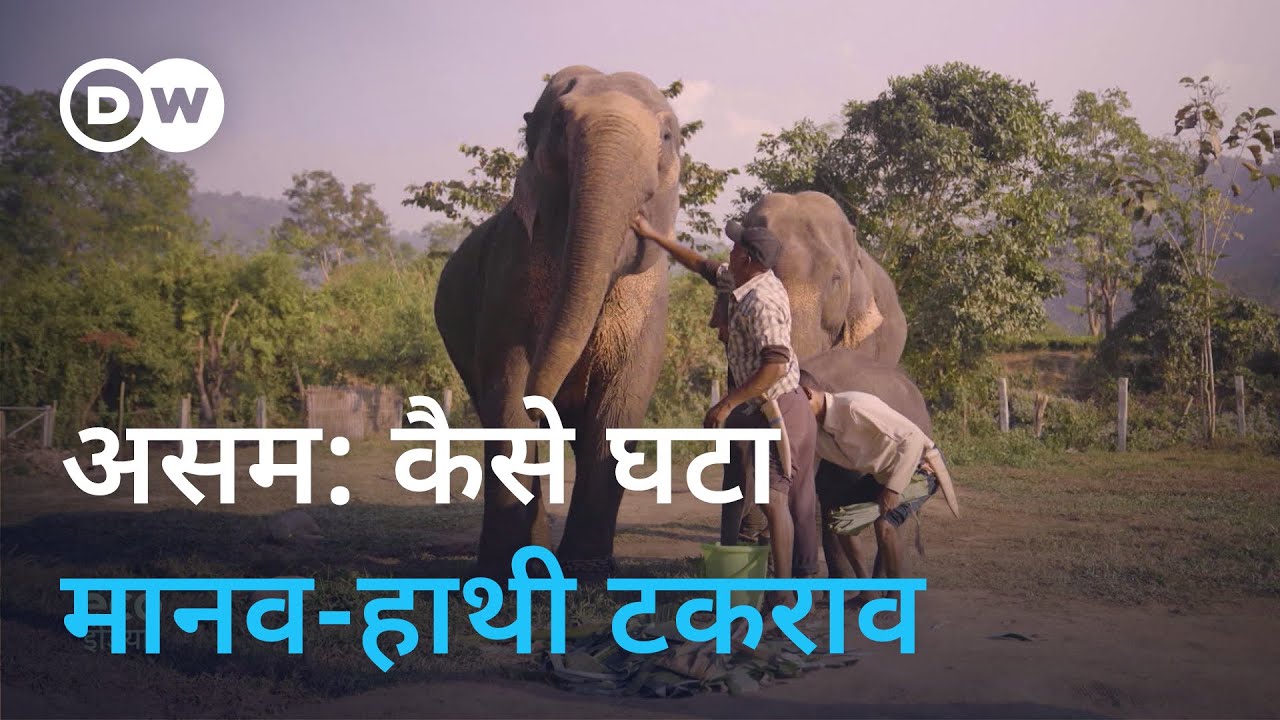 मानव-हाथी संघर्ष: क्या असम ने ढूंढ लिया है समाधान? [Solutions for Human-Elephant conflicts]