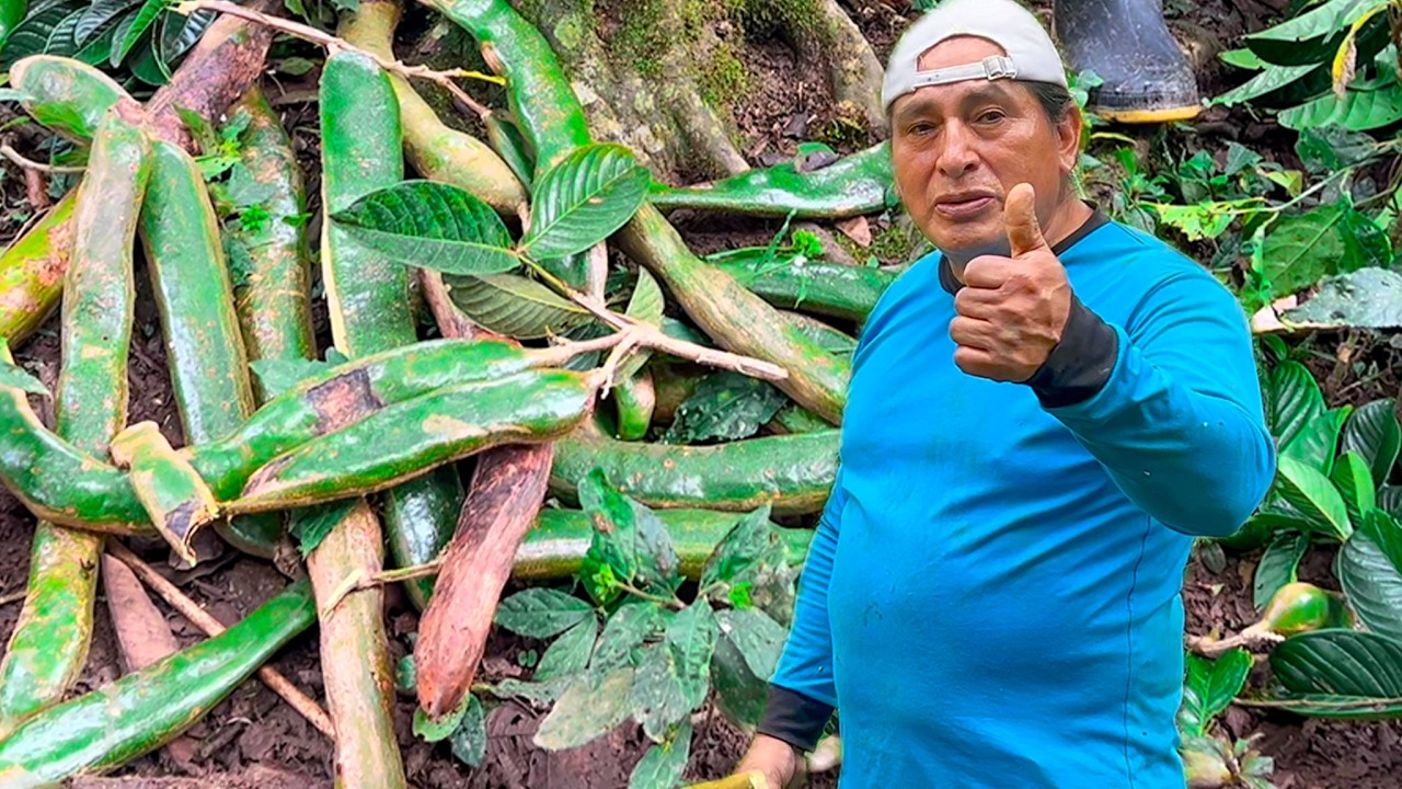 Cosechando GUABAS MACHETONAS con mi Amigo Hormiga | Don Valentin