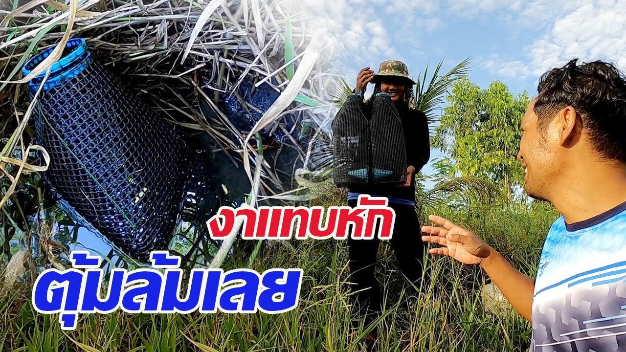 ตุ้มล้มคว่ำ งาแทบหัก !! ดักอีจู้ ดักตุ้มปลาไหล ยกที่สอง มันเกิดอะไรขึ้น