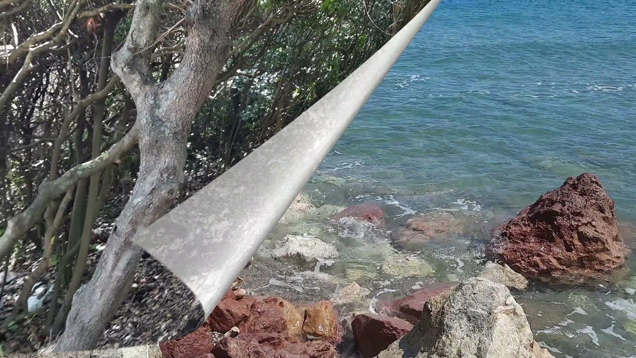 50.1.  ŞİLE KUMBABA, LONGOZ ORMANI, KORSAN MAĞARASI VE SOFULAR KÖYÜ