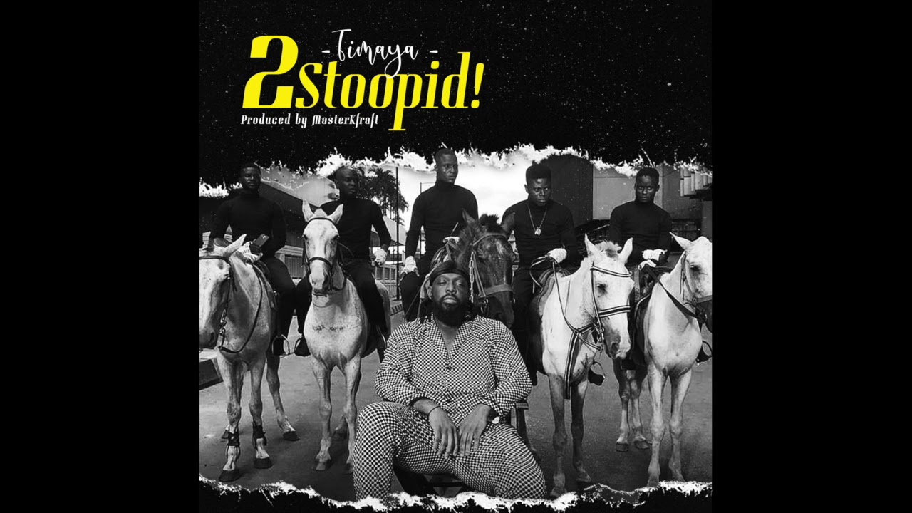 Timaya - 2 Stoopid (Official Audio)