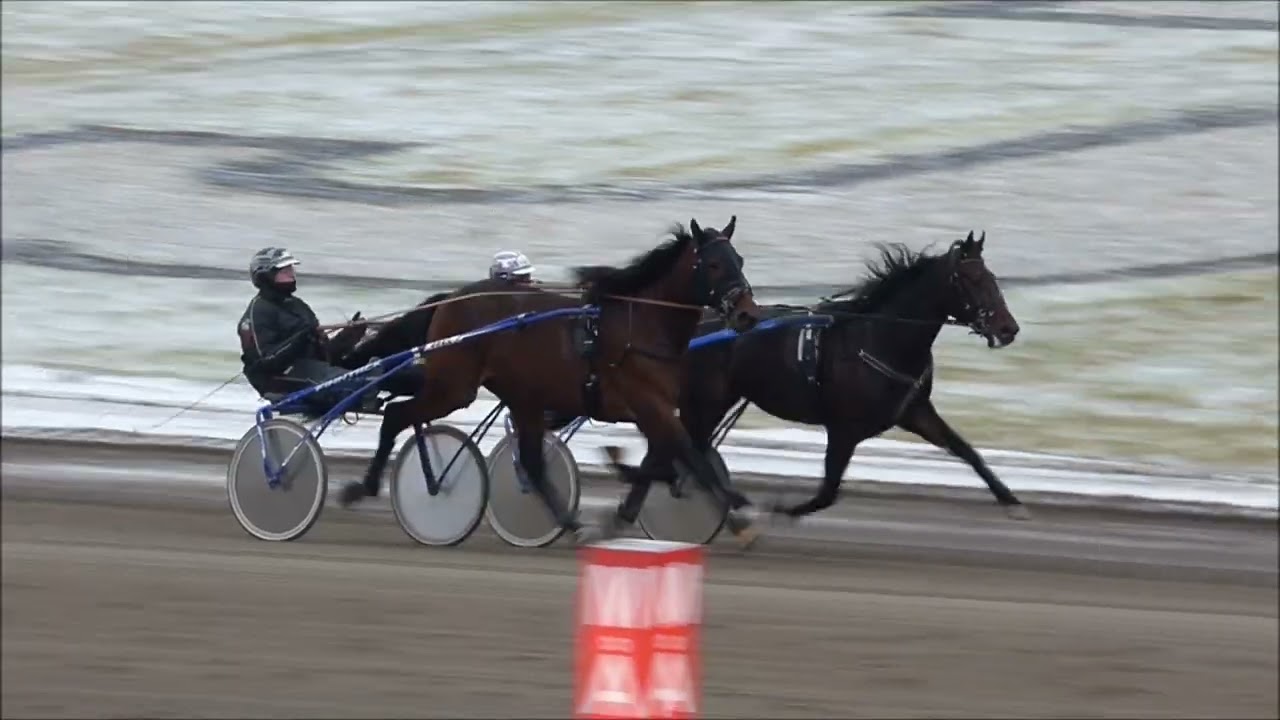 Spaceman Jog och Patriot Newport Jägersro 20250213