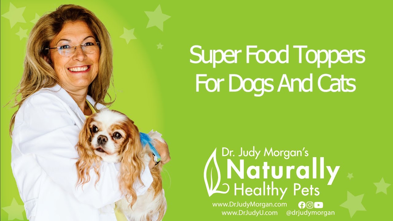 Billy Hoekman: Super Food Toppers For Dogs And Cats