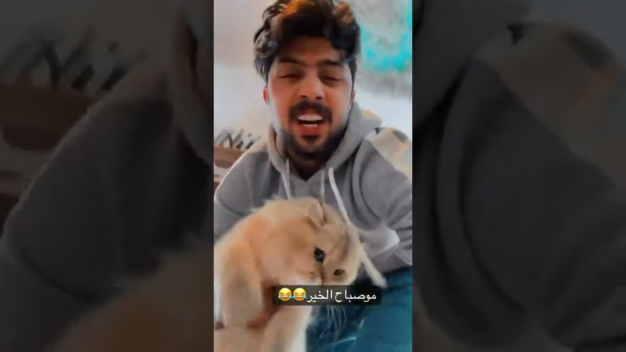 ستوريات عباس الشيباني وحسن كامل وحسين الشاعري@تيم الخياله