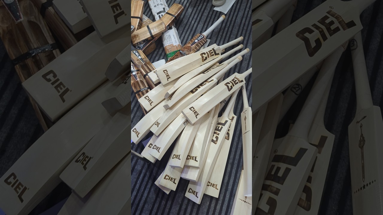 Best Cricket Bat For Leather Ball | Hard Pressed For Better Punch | Best Cricket Bat Under Rs 5000
