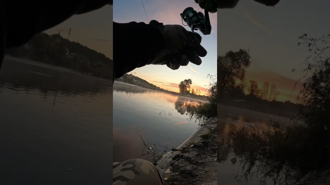 ASP FISHING ✌️🐟 #favoritefishing #fishing #spinning #wędkarstwo #aspius #asp #rapfen #bolen #odra