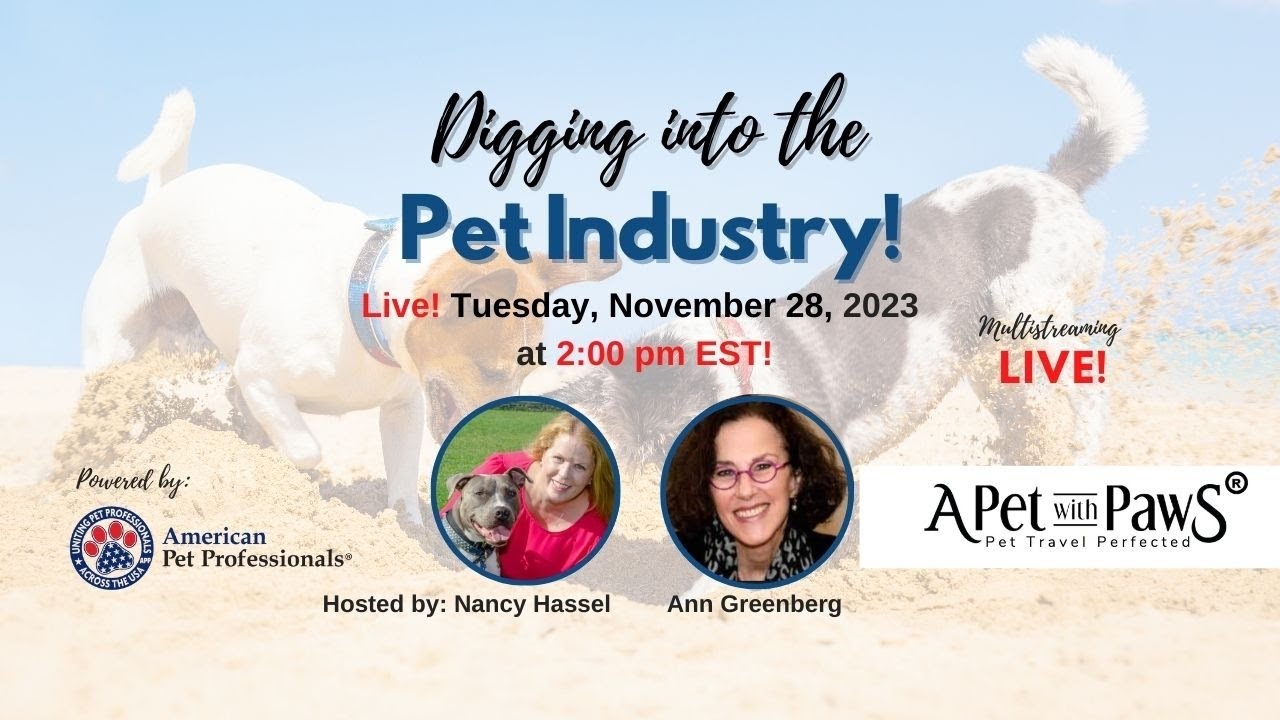 Stylish Eco-Friendly Pet Travel Products - Ann Greenberg - Digging Into the Pet Industry&trade; Ep. #43