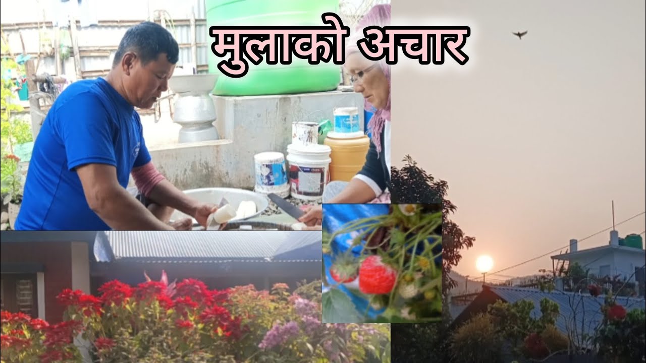 Ghar ma mulako achar banako dd haru sang chapter banayer khako #subscribe #support 