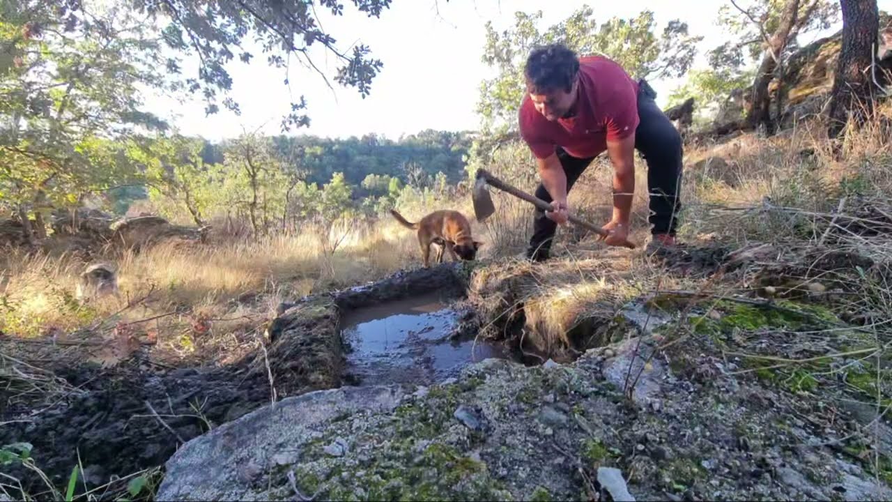 Jesús Manuel El autóctono lunes empezamos a trabajar