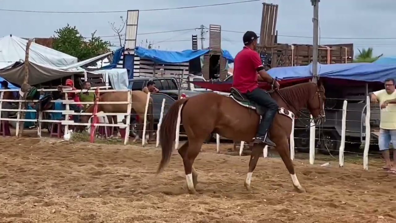 10 Metros - Forró de Vaquejada - Vaquejada PDM