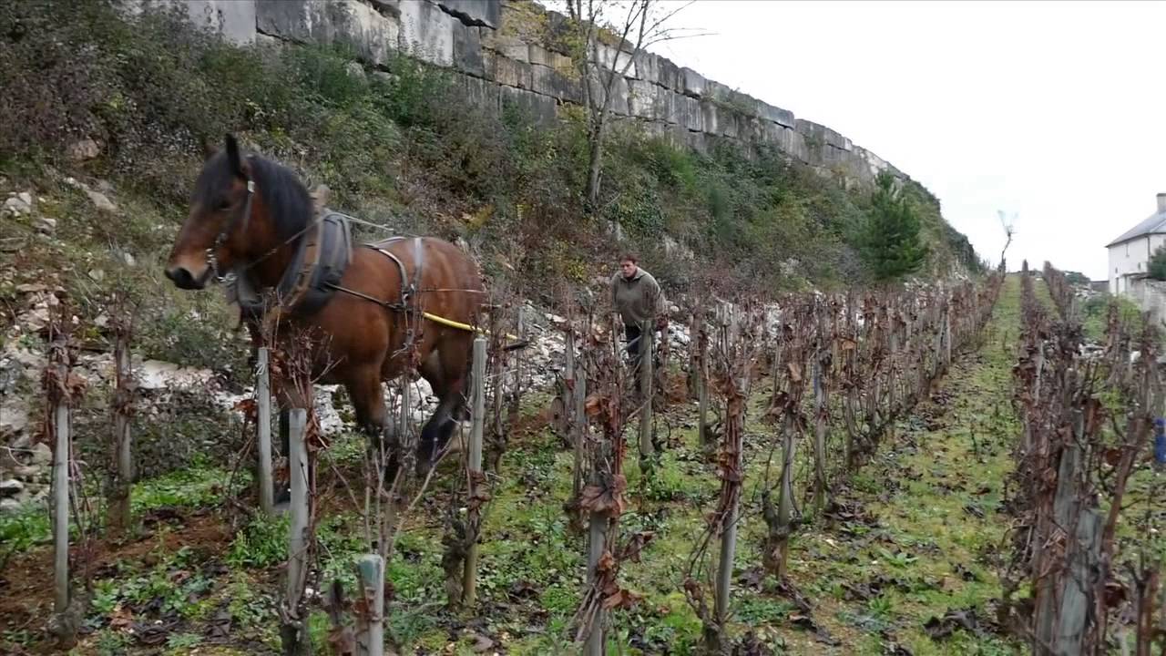 Cheval au Château Gris 720YT
