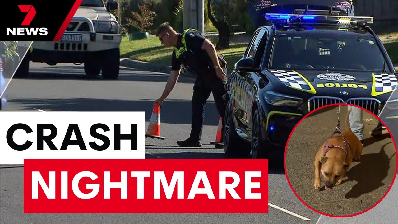 Carrum Downs woman fighting for life in hospital after she was struck by a motorbike | 7NEWS