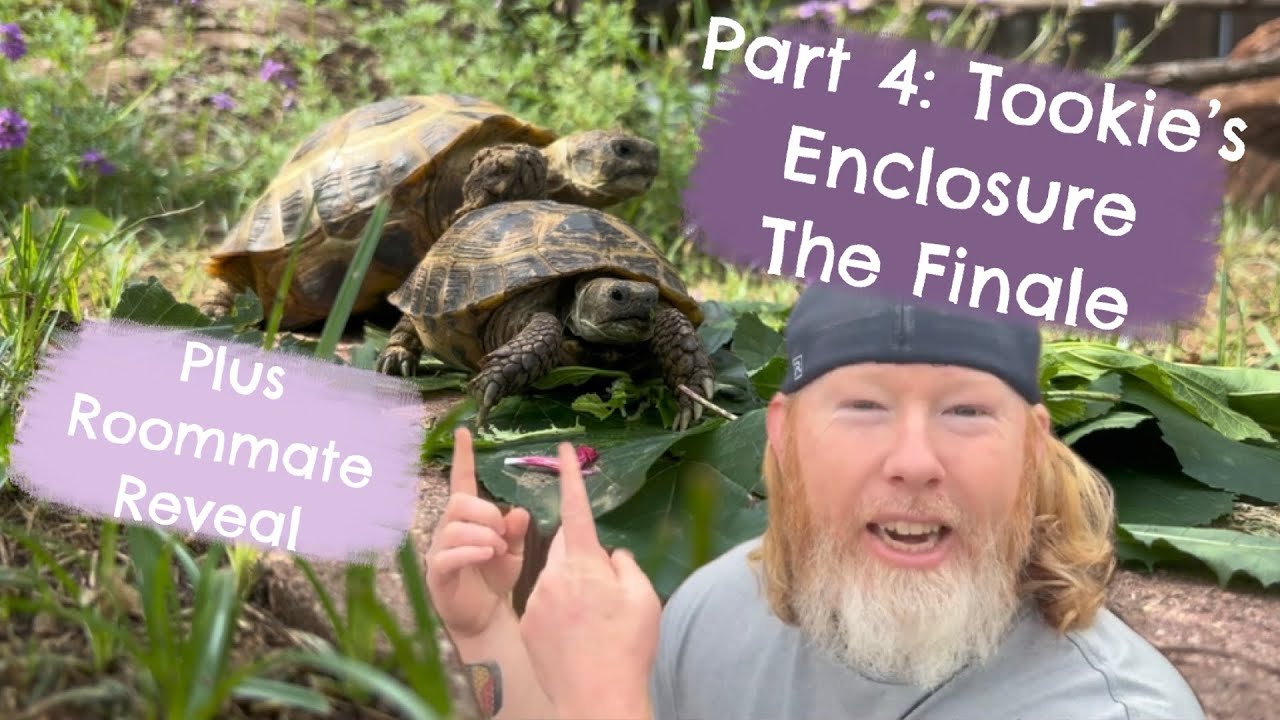 Part 4: Tookie’s Enclosure the Finale