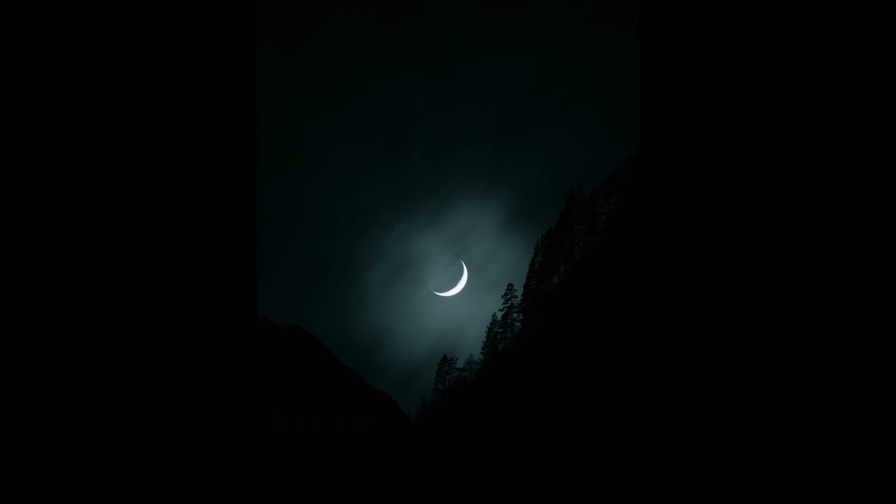 Enjoy the night 6