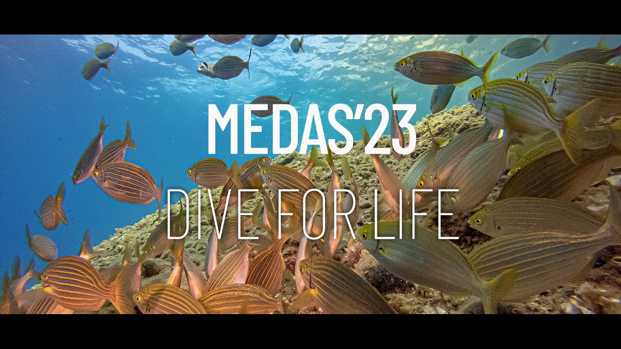 Dive in Medas - L'Estartit