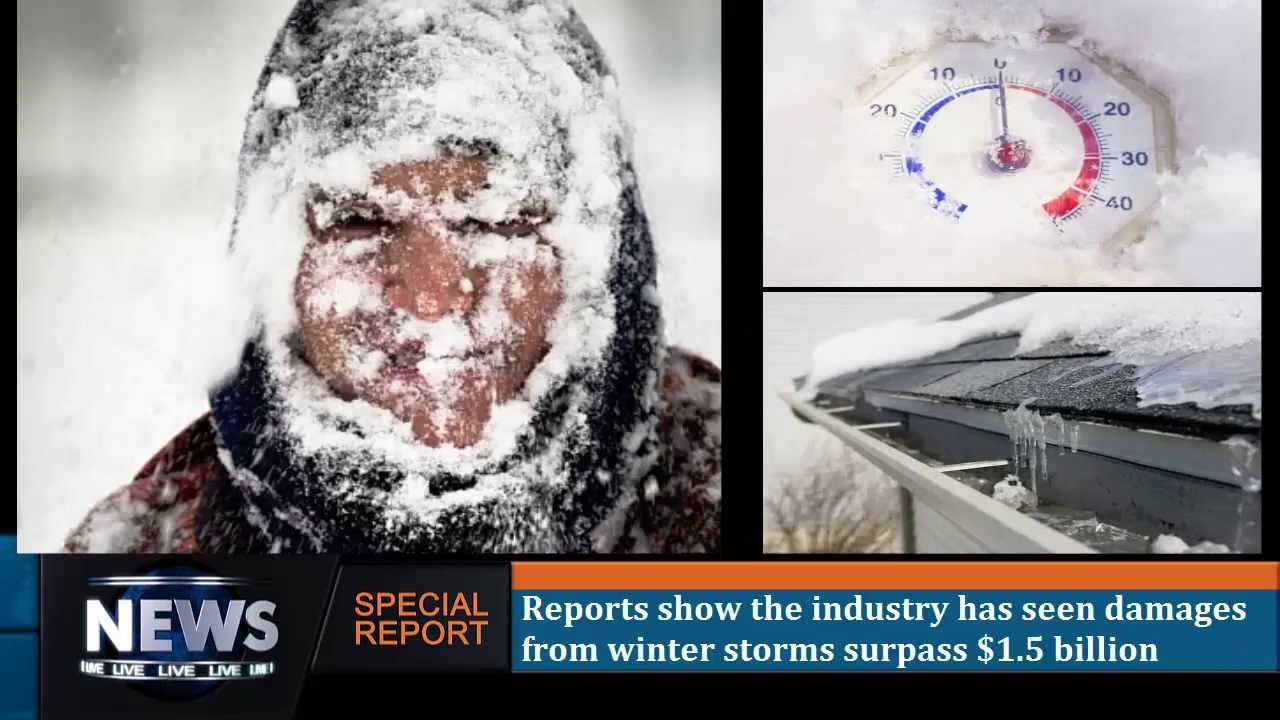 Live Insurance News Report