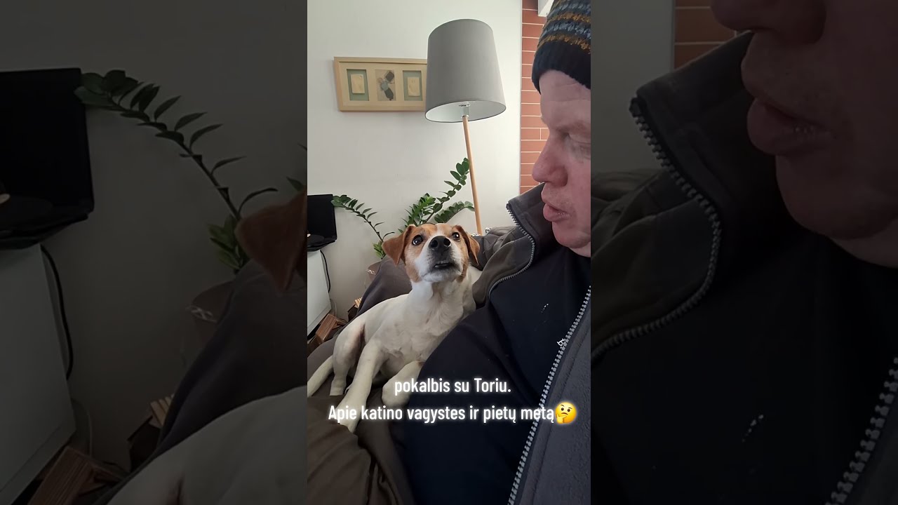 pokalbis su Toriu apie ,katina ir pietų metą