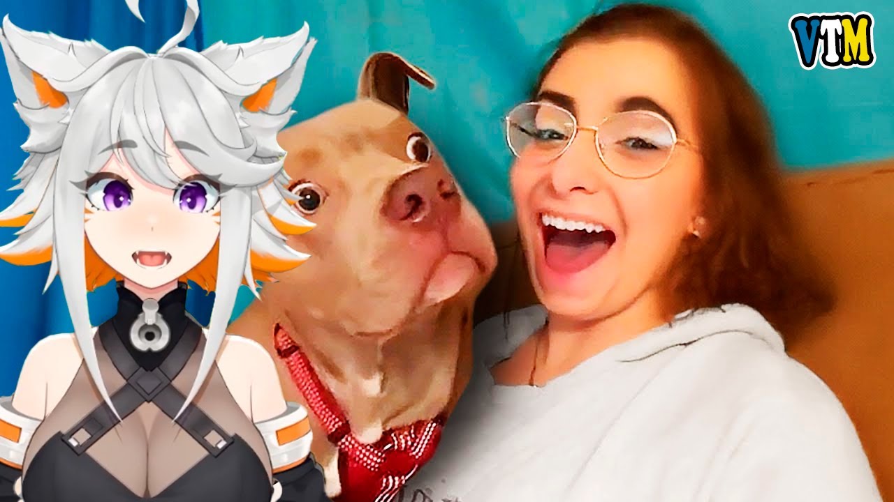 Deme Reacts To Best Dog Videos of the Decade