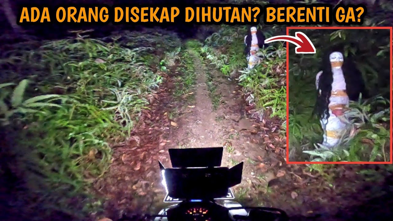 SENSASI NAIK MOTOR SENDIRI MASUK HUTAN KALIMANTAN JAM 12 MALAM~HUJAN LEBAT~GERIMIS HORROR~NGEBUT