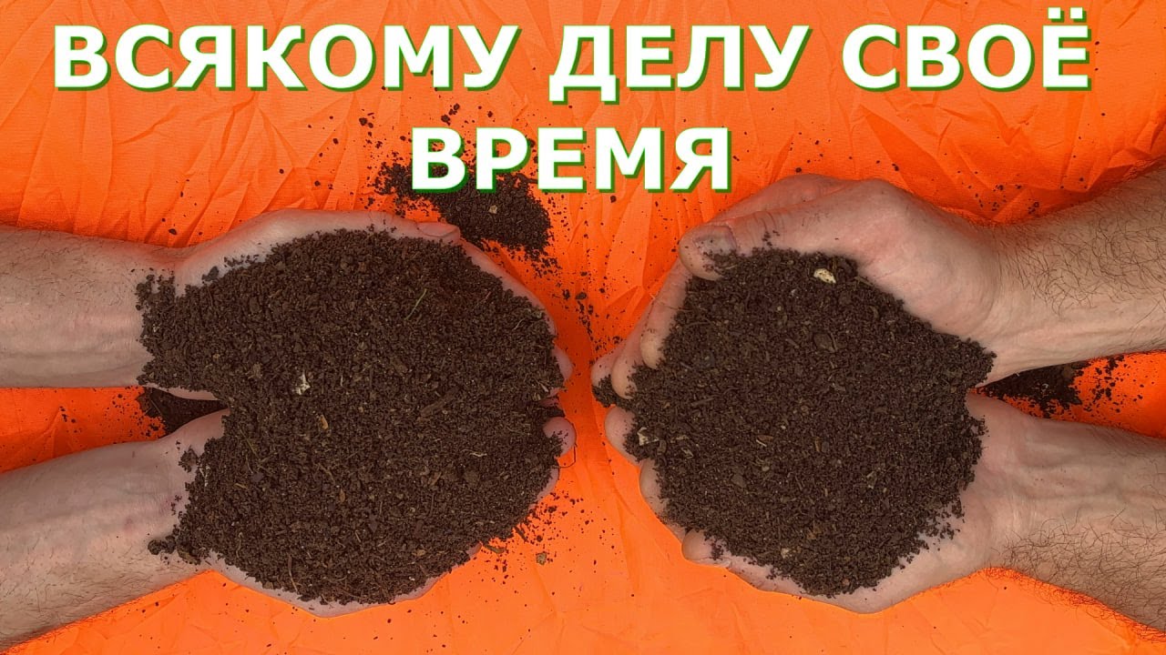 Быстрый компост осенью – грунт для рассады Забота о рассаде начинается осенью