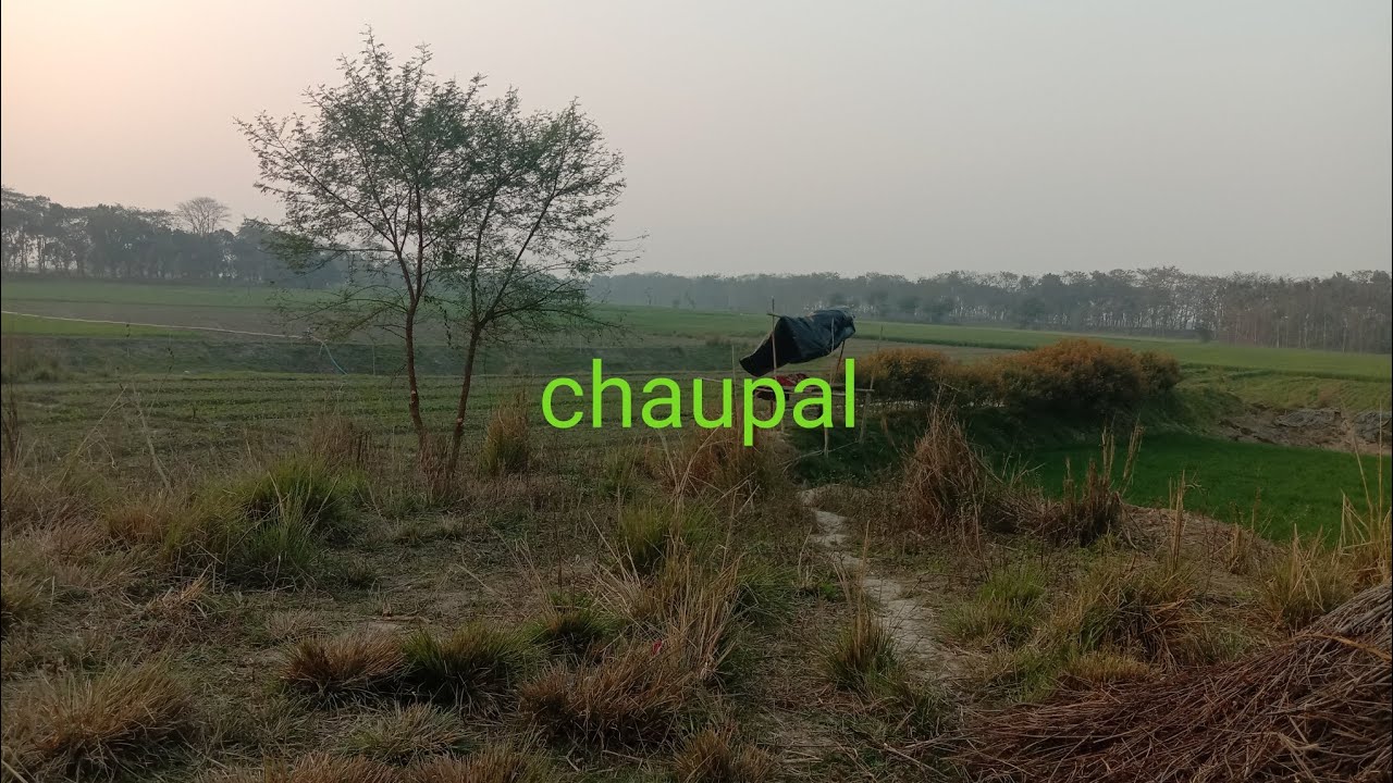 Gaon ka chaupal 