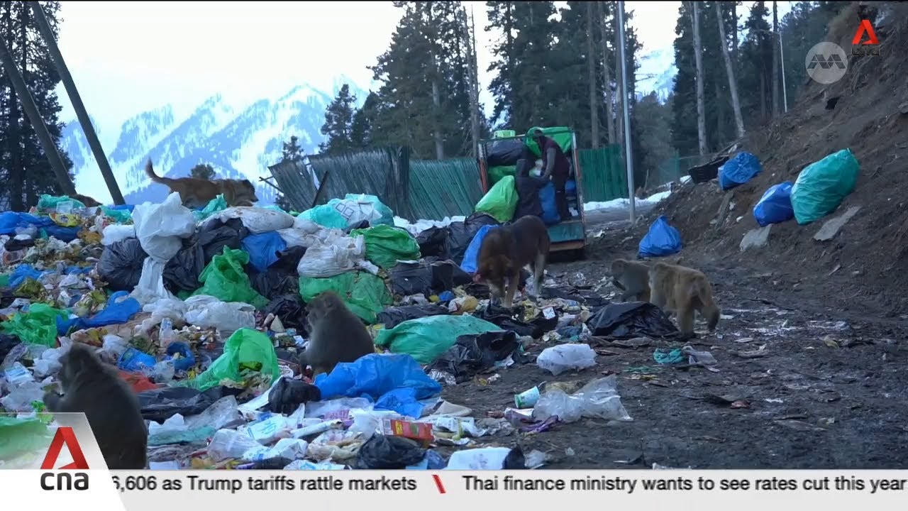 Kashmir's winter destinations face severe environmental crisis from overtourism