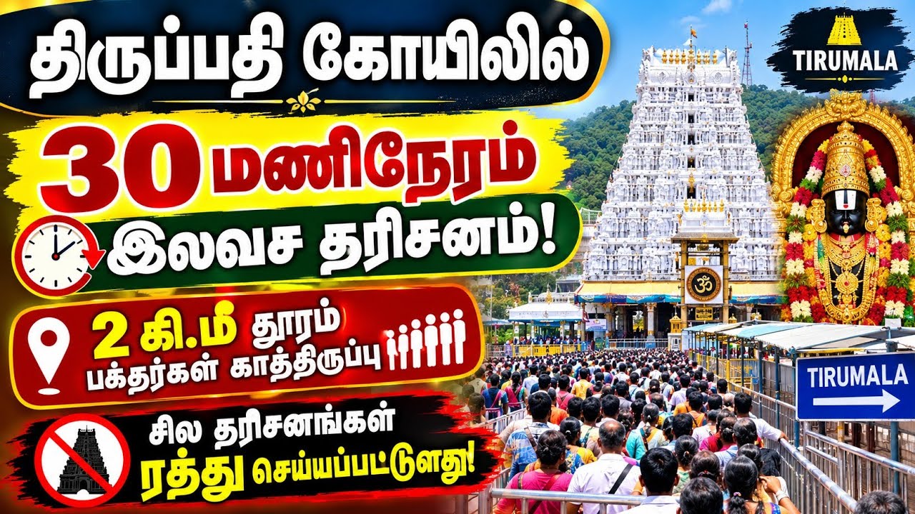 TTD Latest Updates | Today's Tirupati Situation | Tirumala Darshan Today | Tirupati Darshan Crowd