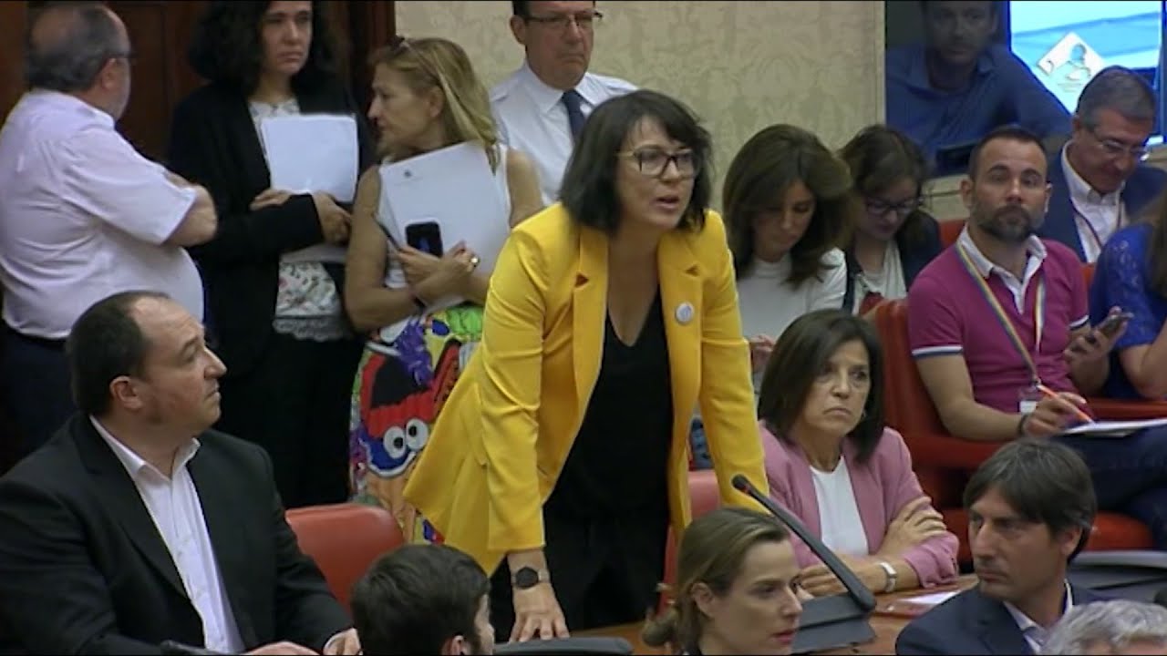 El proc&eacute;s tambi&eacute;n marca el acatamiento de los eurodiputados