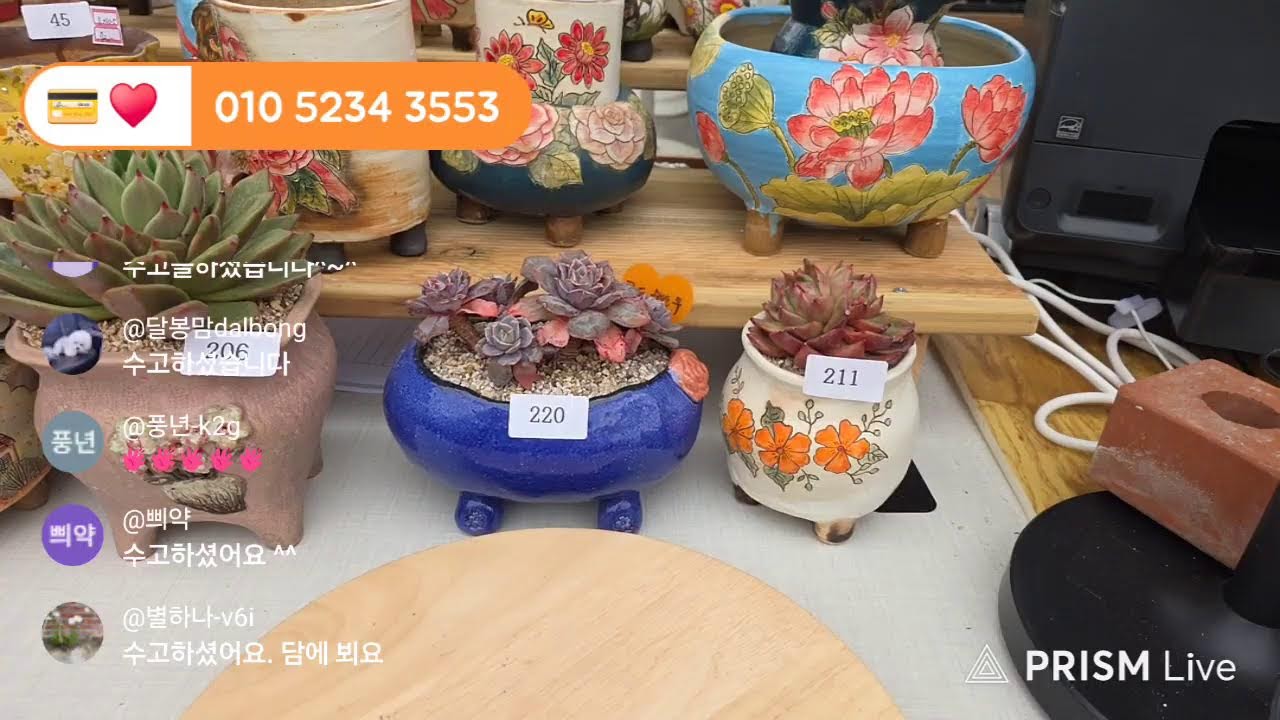 다육이가방글방글TV💗 라이브 방송