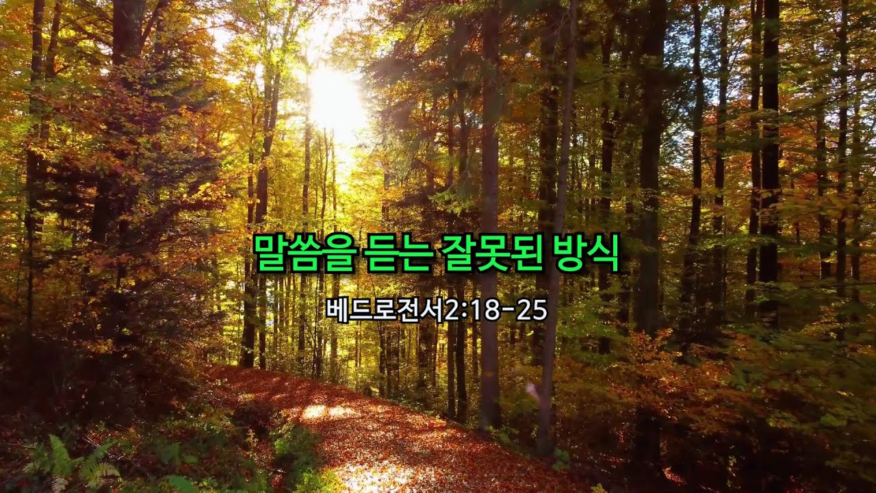 말씀을 듣는 잘못된 방식(벧전2:18-25)