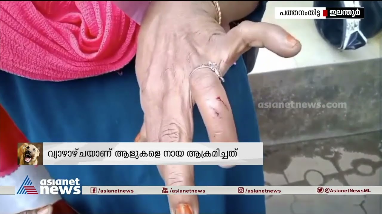 പത്തനംതിട്ടയില്&zwj; ആറുപേരെ കടിച്ച തെരുവ് നായക്ക് പേ വിഷബാധ|Pathanamthitta | Rabies | Stray dog attack
