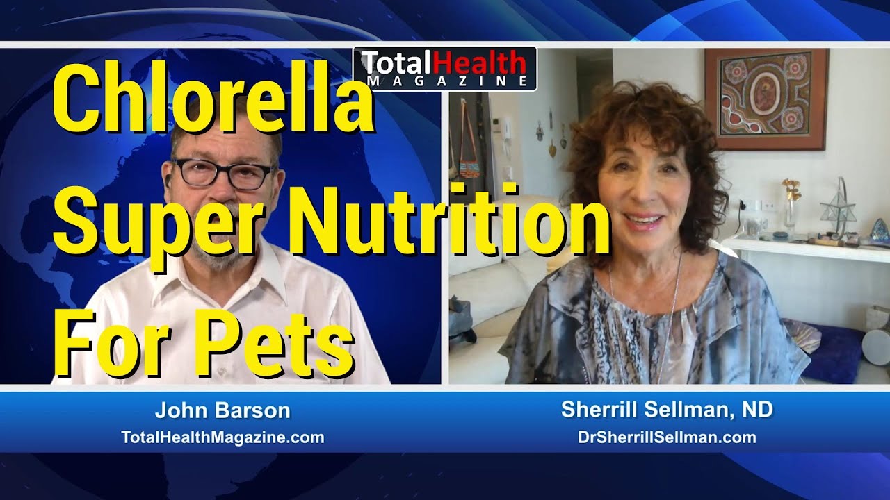 Chlorella Super Nutrition for Pets