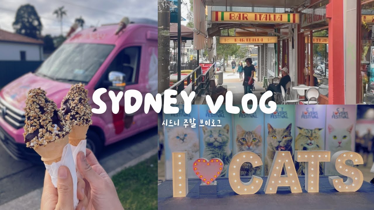 VLOG🇦🇺 Italian Cafe 🇮🇹 | Leichhardt☕️ | Cat Lover's Festival 😻 | Korean Sashimi 🐟 in Sydney