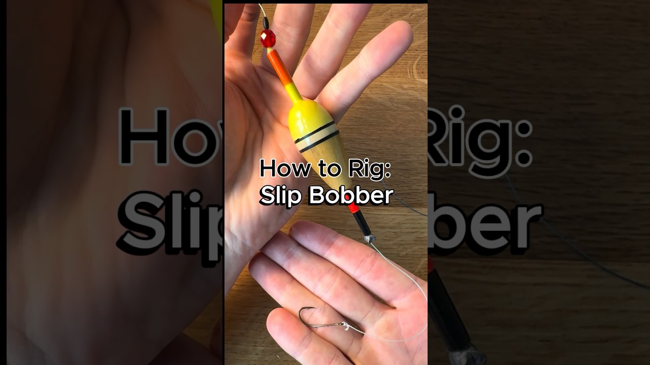 Как оснастить поплавок для ловли рыбы на скользящую мушку #рыбалка #как #судак #ловлясудака #крап...