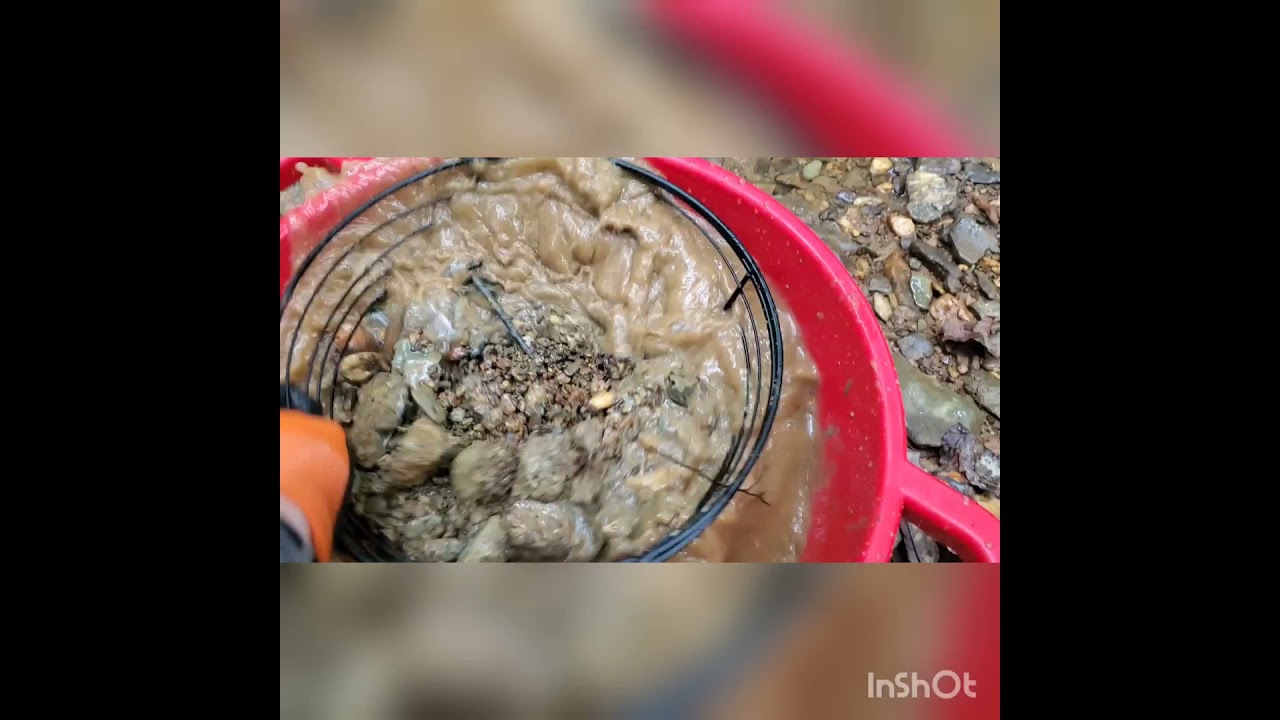 Make shift Gold Prospecting Classifier