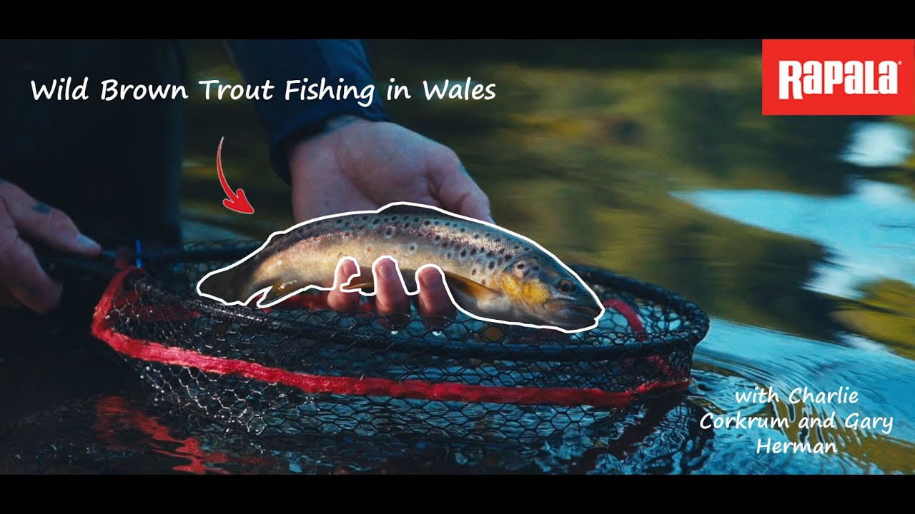 Wild Brown Trout Fishing in Wales: With Charlie Corkrum and Gary Herman