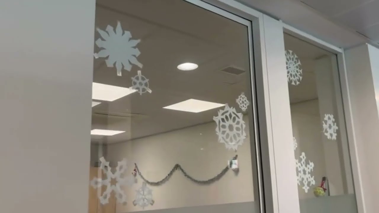 Direcció d'Organització i Sistemes d'Informació