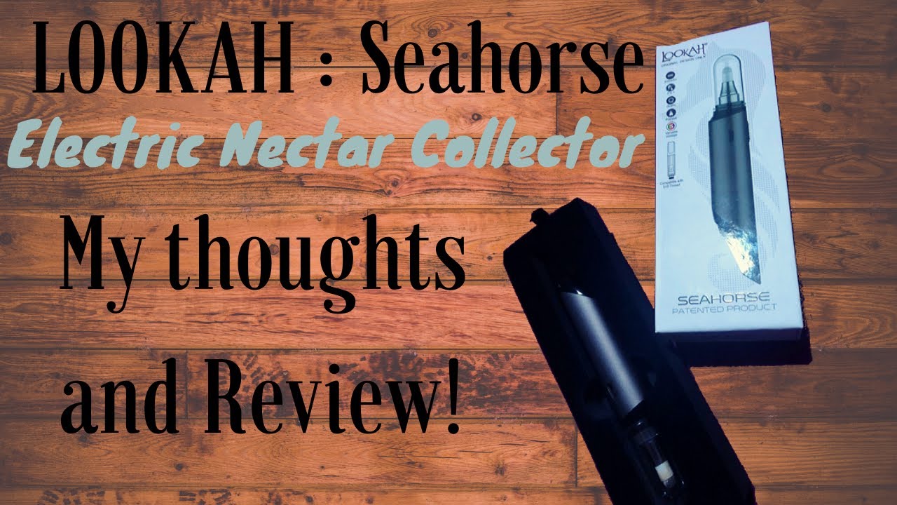 Lookah: Seahorse Nectar Collector | Product Review!