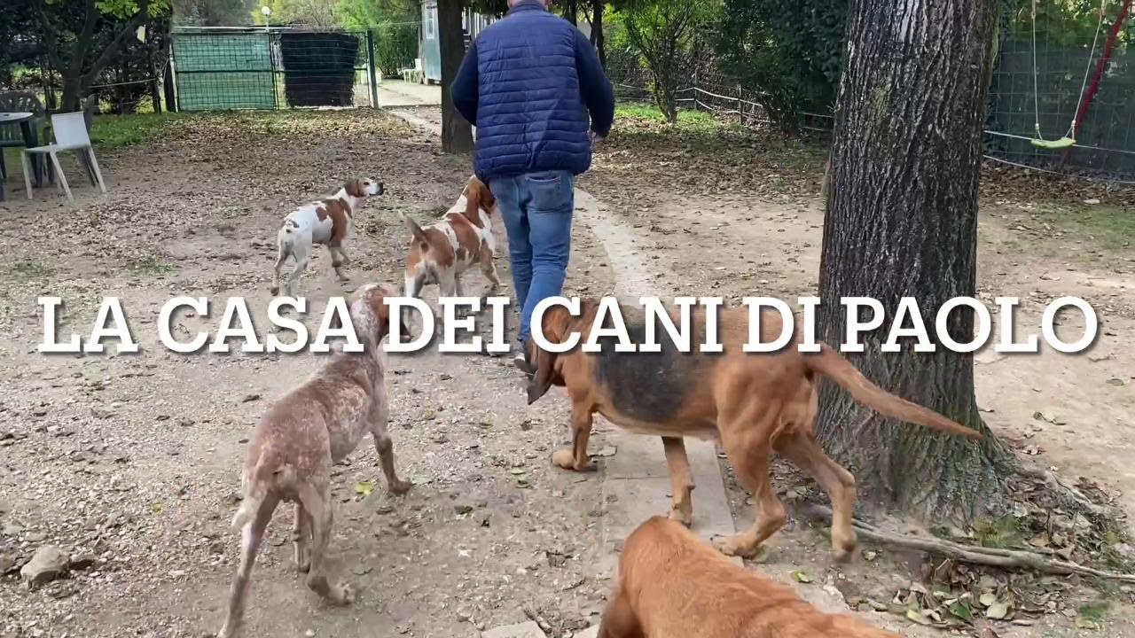 Abano Terme, la casa dei cani di Paolo