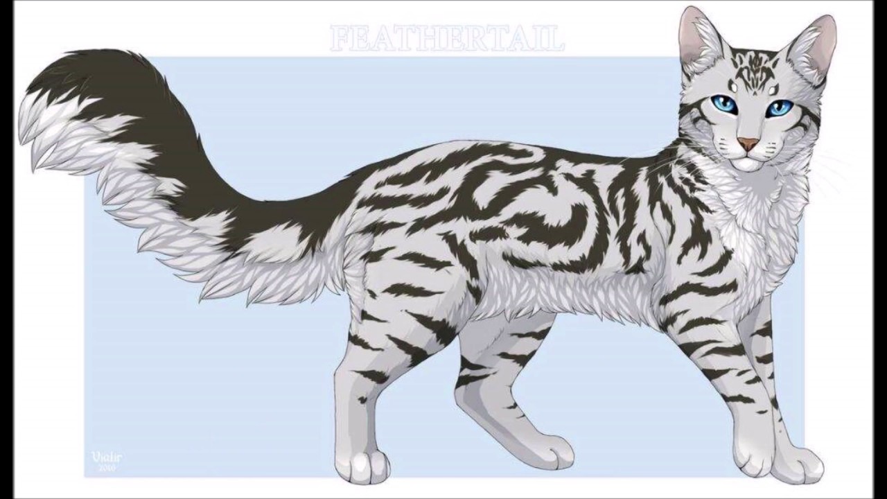 Federschweif || Warrior Cats Videos