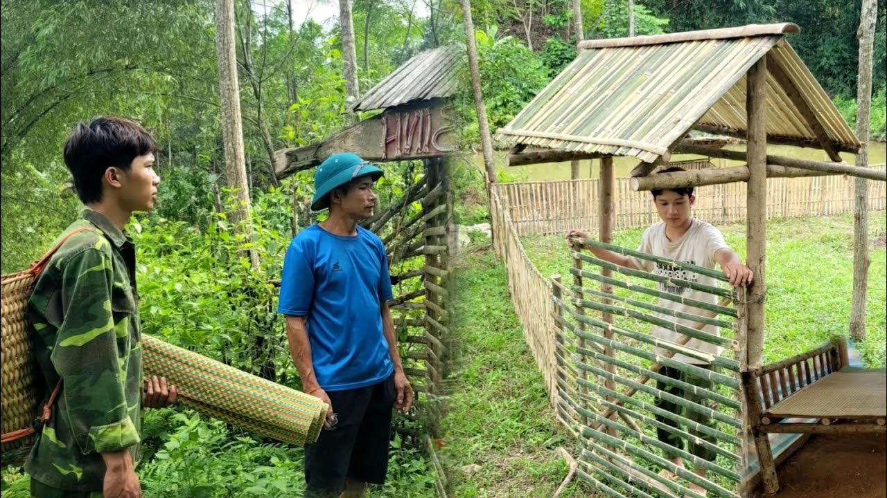 Full video: Binh improves the farm - Harvests vegetables and fruits to sell | Bình