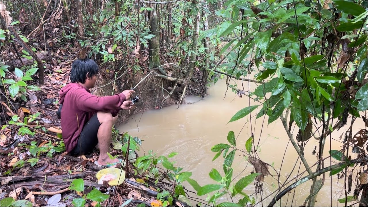 Tidak Ada Jejak Manusia Disini Umpan Dada Ayam Laris Manis Tak Tersisa