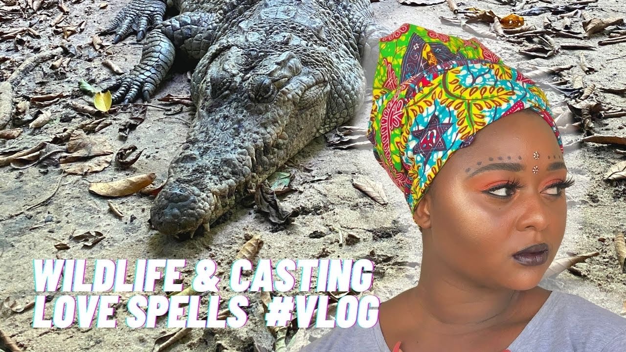 WildLife In The Gambia | Crocodiles | Tour | Food | museum | Sierra Leoneans in Gambia
