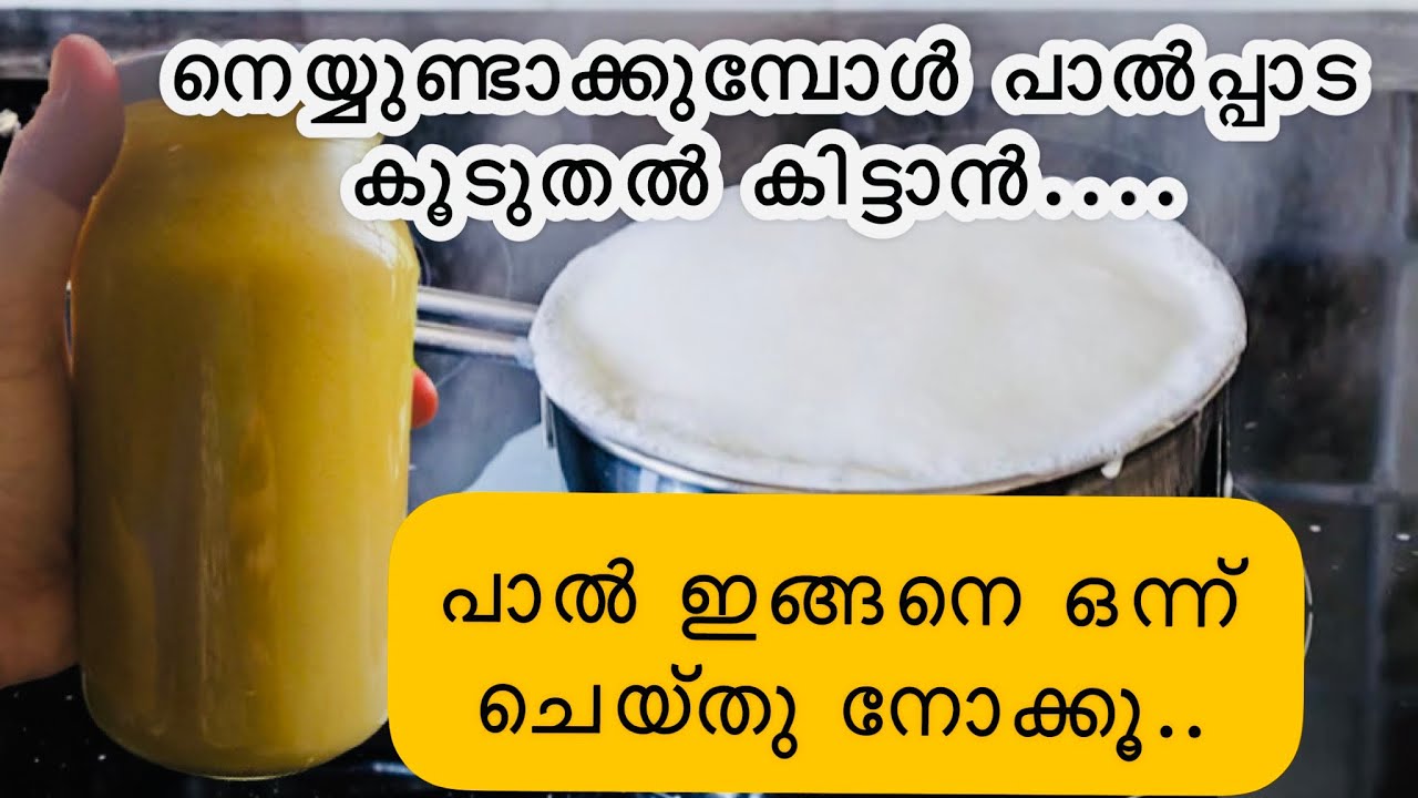 🔥നെയ്യുണ്ടാക്കാനുള്ള പാലിൽ നിന്നും പാൽപ്പാട കിട്ടിയില്ല എന്ന് ഇനി നിങ്ങൾ പറയില്ല പാൽ ഇങ്ങനെ ചെയ്യൂ