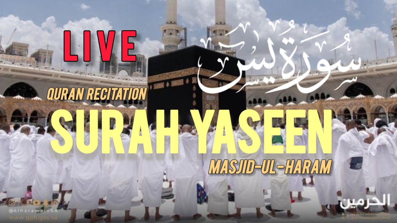 Live streaming of Quranic knowledge info