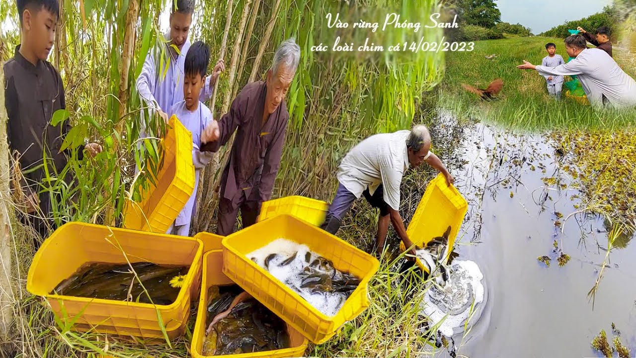 Đức Viên/Đạo Tràng Liên Hoa phóng sanh 14/02/2023