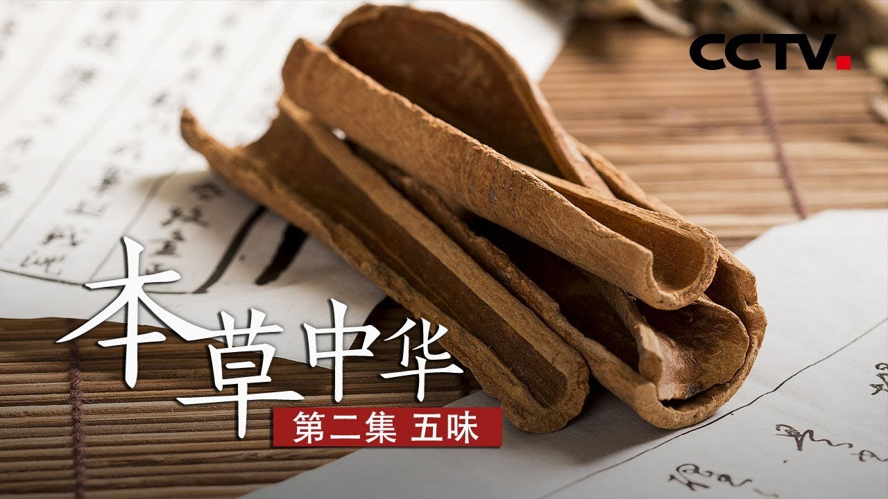 《本草中华》第二集 五味 | CCTV纪录